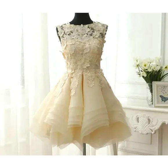 NWT * A-line Organza Mini Dress with Scoop Neck and Flowered Applique - Picture 1 of 9